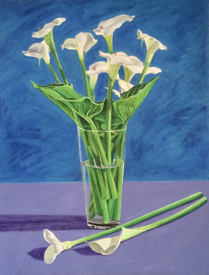 cala lillies in vase by alan hydes