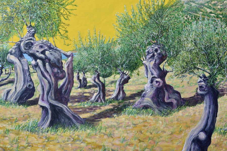 olive grove painted by Alan Hydes